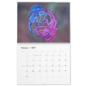 Dragons Monsters Reptile beast Creater Animal Dra Kalender (Feb 2027)