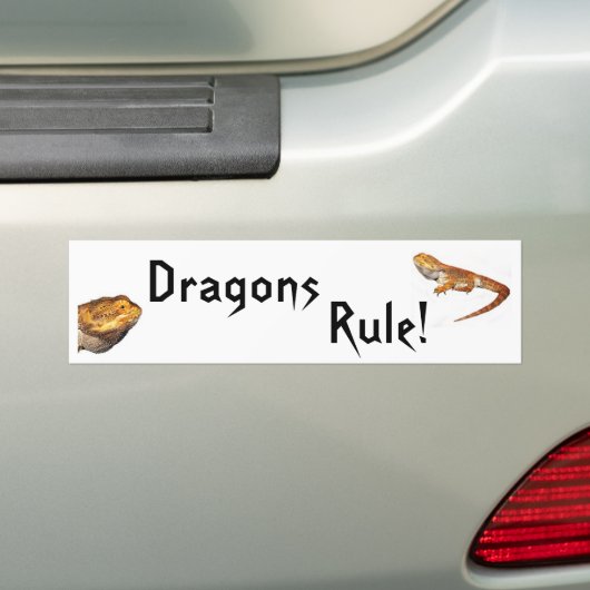 Dragons Rule! Bumpersticker (Op auto)