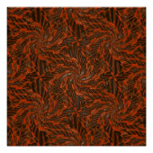 Dragon's Wings.. Poster (Voorkant)