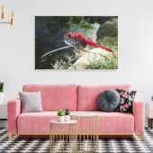 Dragonvlieg loopt op tak, sluit af canvas afdruk (Insitu (Woonkamer))