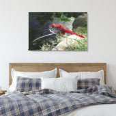 Dragonvlieg loopt op tak, sluit af canvas afdruk (Insitu (Slaapkamer))