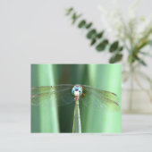 Dragonvlieg omhoog briefkaart (Staand voorkant)