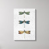 Dragonvliegen afdrukken (Voorkant)