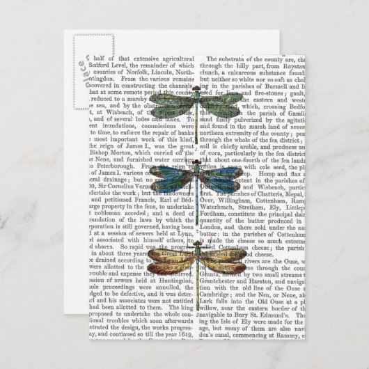 Dragonvliegen Afdrukken 2 Briefkaart (Voorkant / Achterkant)