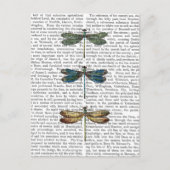 Dragonvliegen Afdrukken 2 Briefkaart (Voorkant)