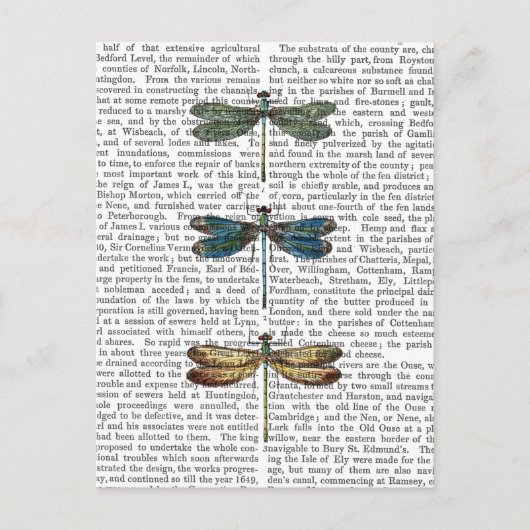 Dragonvliegen Afdrukken 2 Briefkaart (Voorkant)