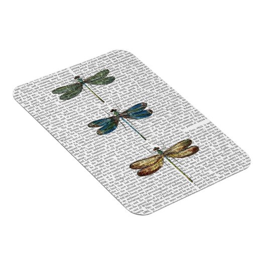 Dragonvliegen Afdrukken 2 Magneet (Rechterzijde)