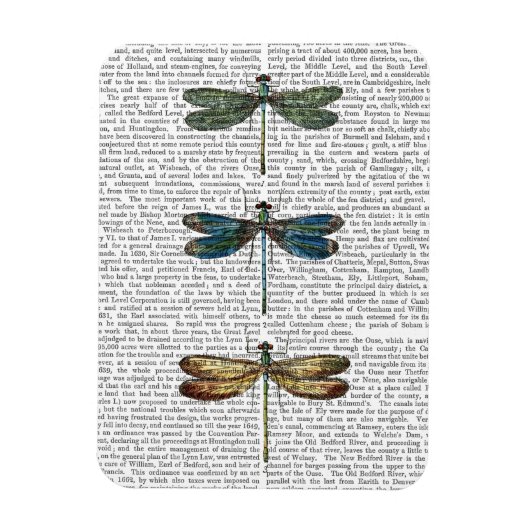 Dragonvliegen Afdrukken 2 Magneet (Verticaal)