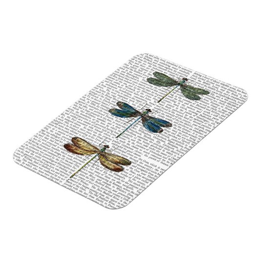 Dragonvliegen Afdrukken 2 Magneet (Linkerzijde)