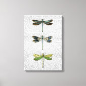 Dragonvliegen Afdrukken 3 (Voorkant)