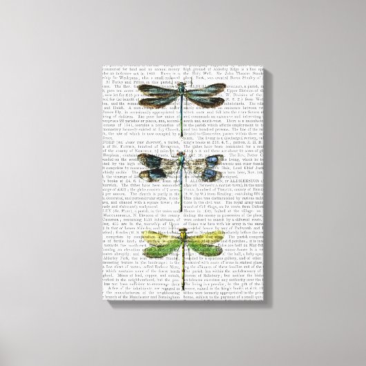 Dragonvliegen Afdrukken 3 (Voorkant)