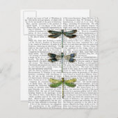 Dragonvliegen Afdrukken 3 Briefkaart (Voorkant / Achterkant)