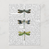 Dragonvliegen Afdrukken 3 Briefkaart (Voorkant)