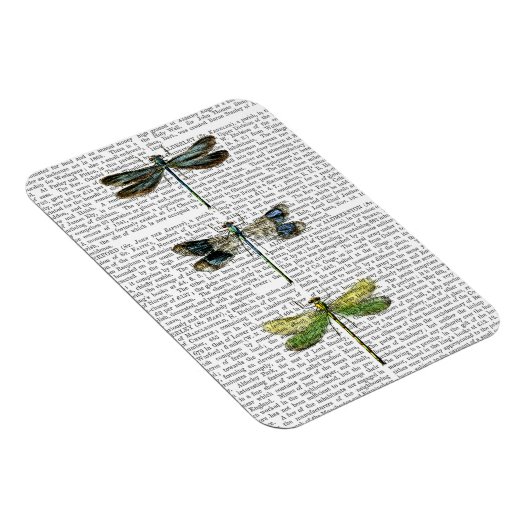 Dragonvliegen Afdrukken 3 Magneet (Rechterzijde)
