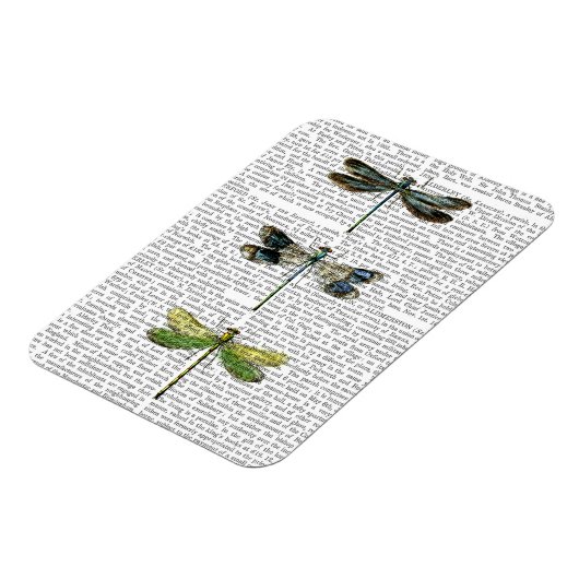 Dragonvliegen Afdrukken 3 Magneet (Linkerzijde)