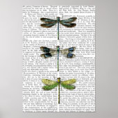 Dragonvliegen Afdrukken 3 Poster (Voorkant)