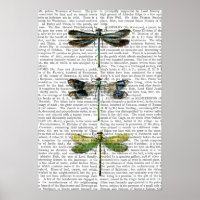 Dragonvliegen Afdrukken 3