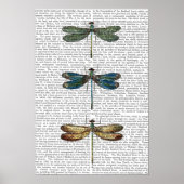 Dragonvliegen afdrukken poster (Voorkant)