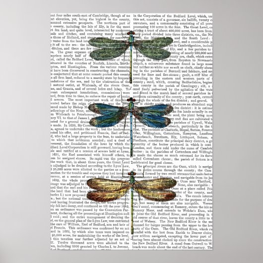Dragonvliegen afdrukken poster (Voorkant)