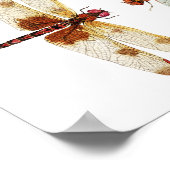 Dragonvliesgezicht uit poster (Hoek)