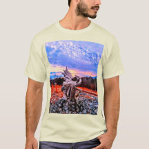 Dragonware en Kidtastic design