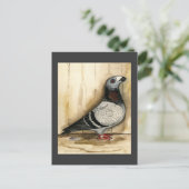 Dragoon Pigeon Blue Grizzle Briefkaart (Staand voorkant)