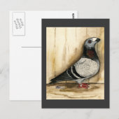 Dragoon Pigeon Blue Grizzle Briefkaart (Voorkant / Achterkant)