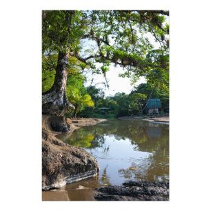 Drake Bay Inham Foto Afdruk