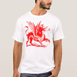 Drake Gravure - Rood T-shirt
