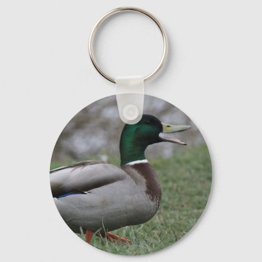 Drake Mallard Duck Sleutelhanger (Voorkant)