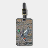 Drake mallard tijdens de vlucht bagagelabel (Voorkant verticaal)