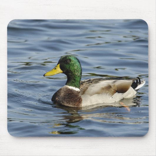 Drake Muismat (Voorkant)