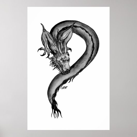 Drake zwart-wit ontwerp poster (Voorkant)