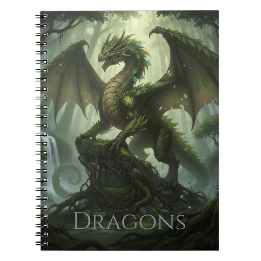 Draken notitieboek (Voorkant)