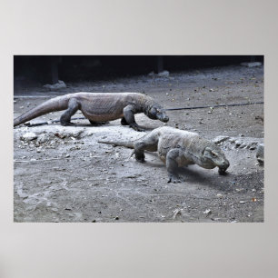 Draken op patrouille poster