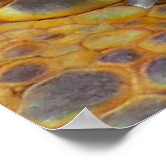 Draken Slayer Poster (Hoek)