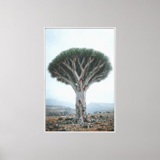Drakenbloedboom Mystieke Surrealistische Natuur Canvas Afdruk