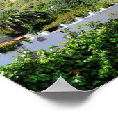 Drakenboom op Tenerife Poster (Hoek)