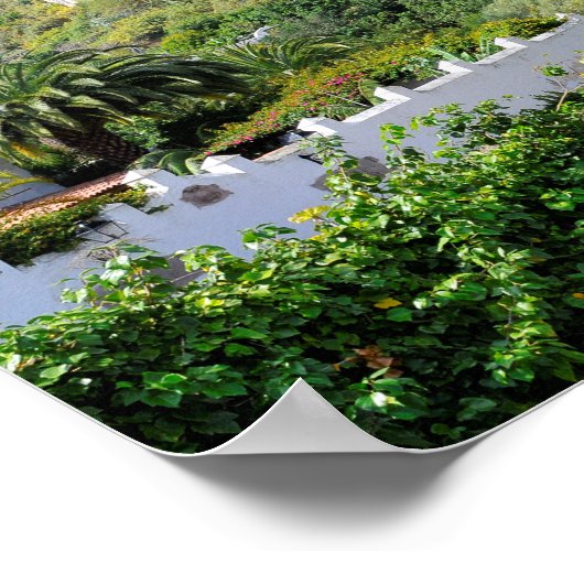 Drakenboom op Tenerife Poster (Hoek)