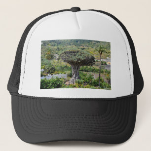 Drakenboom op Tenerife Trucker Pet