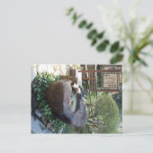 Drakenfontein Briefkaart (Staand voorkant)