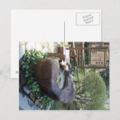 Drakenfontein Briefkaart (Voorkant / Achterkant)