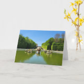 Drakenfontein van Versailles Foto Groeten Kaart (Gele Bloem)