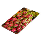 Drakenfruit | Can Duoc Markt Magneet (Linkerzijde)