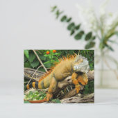 Drakenhagedis Briefkaart (Staand voorkant)