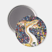 Drakenhoed Magneet (Voorkant / Achterkant)