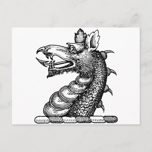 Drakenkleding 9 briefkaart (Voorkant)