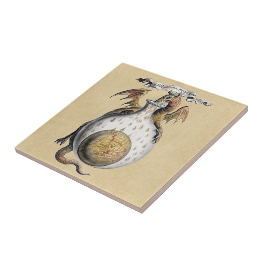 Drakenkroes Tegeltje (Zijkant)