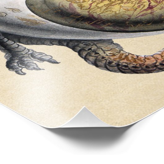 Drakenkroes van Alchemy Foto Afdruk (Hoek)