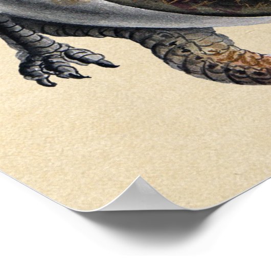 Drakenkroes van Alchemy Poster (Hoek)